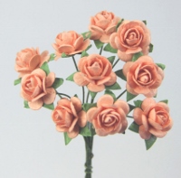 Green Tara-Mini Roses 1cm - 3cm